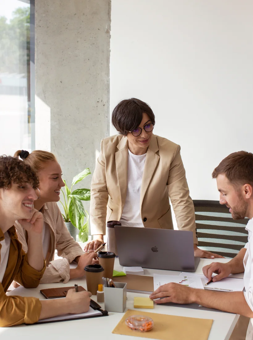 IT Consultants